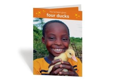 Four ducks