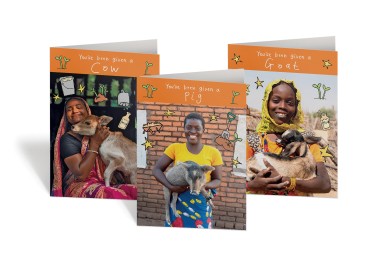Festive Farmyard Bundle 