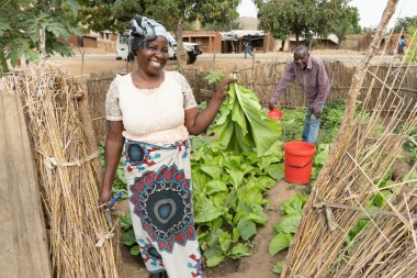 Home garden