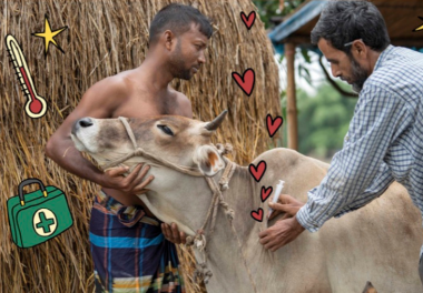 Animal Vaccine Gift