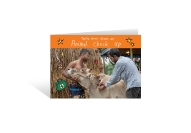 Animal Vaccine Gift