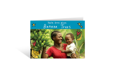 Banana trees