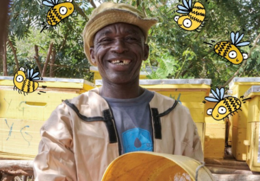 Beekeeping kit 