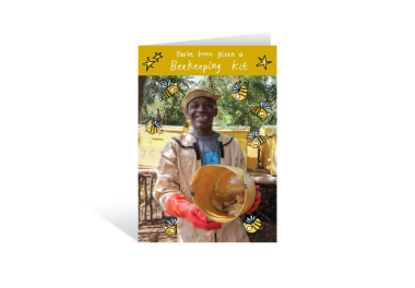 Beekeeping kit 