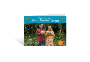 Eight pumpkin patches