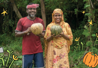 Eight pumpkin patches
