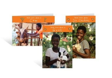 Festive farmyard bundle