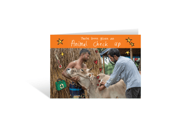 Animal check up