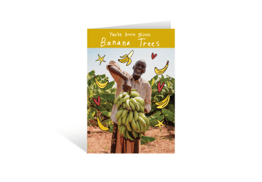 Banana trees