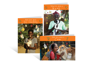 Festive farmyard bundle