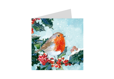 Robin & Holly