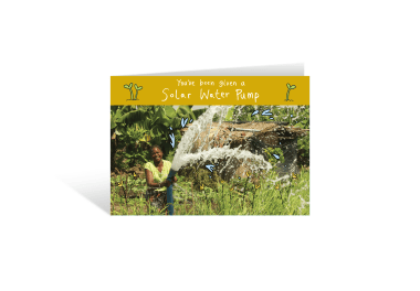 Solar water pump