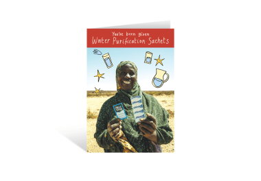 Water purification sachets