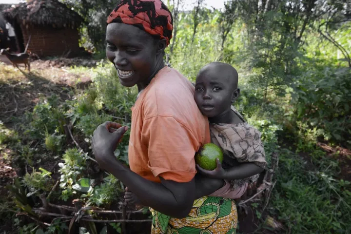 Mum-of-four Esperence Mutetiwabo (45) and her two-year-old daughter Delphine collect ripened avocados from their garden plot in Kirundo province, which has the highest childhood malnutrition levels in Burundi. Photo: Chris de Bode/Panos Pictures for Concern Worldwide Mum-of-four Esperence Mutetiwabo (45) and her two-year-old daughter Delphine collect ripened avocados from their garden plot in Kirundo province, which has the highest childhood malnutrition levels in Burundi. Photo: Chris de Bode/Panos Pictures for Concern Worldwide