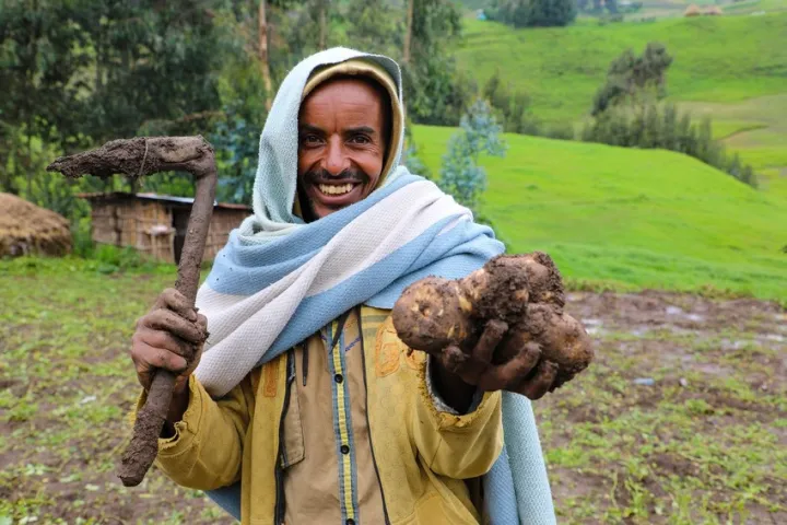 Dad of four, Ahimed Ali Mahamed shows some of the potatoes from his successful harvest. Photo: Jennifer Nolan/Ethiopia/Concern Worldwide Dad of four, Ahimed Ali Mahamed shows some of the potatoes from his successful harvest. Photo: Jennifer Nolan/Ethiopia/Concern Worldwide