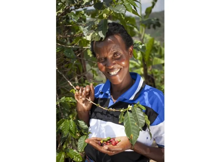 Violette Bukeyeneza (45) is a single mum of eleven a beneficiary of the Graduation programme. Her business has gone from strength to strength. She is now growing coffee for sale at market. Photographed at her home in Bukinanyana, Cibitoke, Burundi. Photo: Abbie Trayler-Smith / Concern Worldwide Violette Bukeyeneza (45) is a single mum of eleven a beneficiary of the Graduation programme. Her business has gone from strength to strength. She is now growing coffee for sale at market. Photographed at her home in Bukinanyana, Cibitoke, Burundi. Photo: Abbie Trayler-Smith / Concern Worldwide