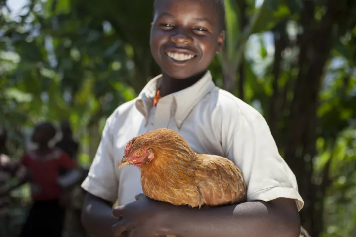 Olivier Iranyumviye (10) son of Alphonsine Niyonzima (21) with the chickens they have bought with the profits of her business, thanks to investment from the Graduation Programme. At their home in Mabayi, Cibitoke. Photo: Abbie Trayler-Smith / Concern Worldwide Olivier Iranyumviye (10) son of Alphonsine Niyonzima (21) with the chickens they have bought with the profits of her business, thanks to investment from the Graduation Programme. At their home in Mabayi, Cibitoke. Photo: Abbie Trayler-Smith / Concern Worldwide