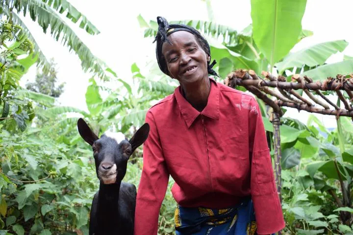Widow Isabelle Mundana (66) has benefited from five goats as part of Concern’s community and household resilience programme. Photo: Darren Vaughan / 2017 / Burundi Widow Isabelle Mundana (66) has benefited from five goats as part of Concern’s community and household resilience programme. Photo: Darren Vaughan / 2017 / Burundi
