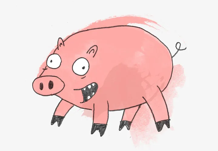 Pig - Alternative Charity Gifts Pig - Alternative Charity Gifts