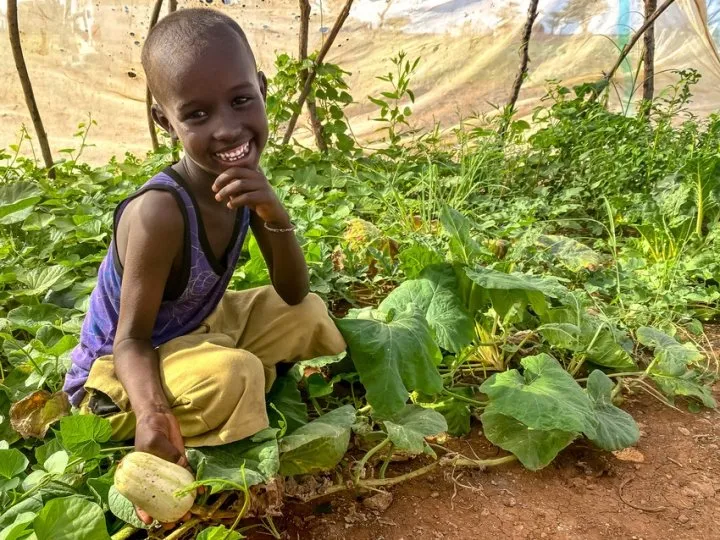 Abudho, six, admires his mother’s plot of healthy butternut squash at home in Northern Kenya. Photo: Jennifer Nolan / Concern Worldwide Abudho, six, admires his mother’s plot of healthy butternut squash at home in Northern Kenya. Photo: Jennifer Nolan / Concern Worldwide