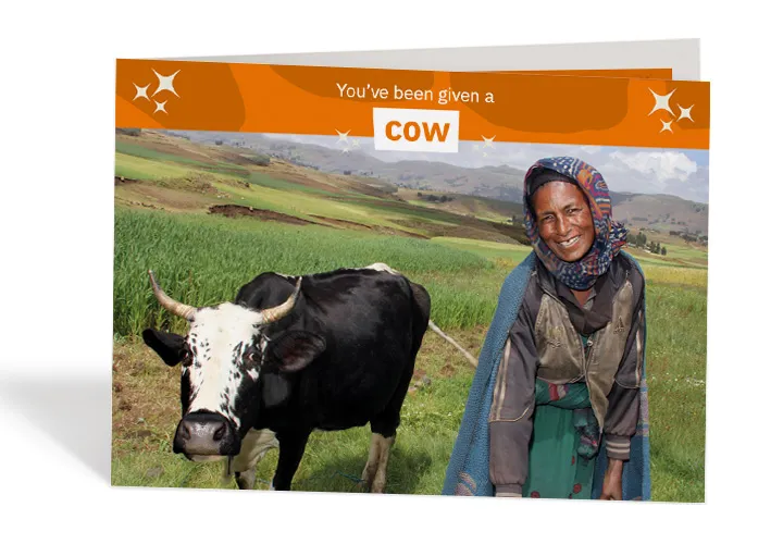 Taytu Mohammed Hamza walks her cow through the field in Ethiopia. Photo: Nick Spollin / Concern Worldwide Taytu Mohammed Hamza walks her cow through the field in Ethiopia. Photo: Nick Spollin / Concern Worldwide