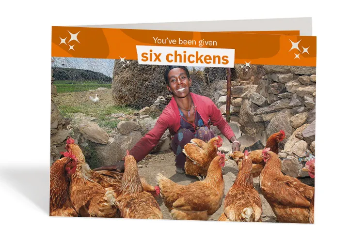Lemlem Tesega sets the pecking order for her chickens in Ethiopia. Photo:Nick Spollin / Concern Worldwide Lemlem Tesega sets the pecking order for her chickens in Ethiopia. Photo:Nick Spollin / Concern Worldwide
