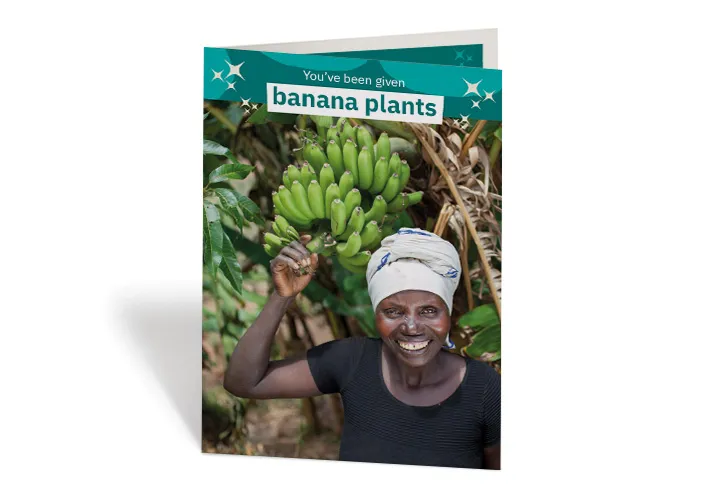 Meresiyana Cimpaye, 40, with her banana plants at her home in Bukinanyana, Cibitoke, Burundi. Photo: Abbie Trayler-Smith / Concern Worldwide Meresiyana Cimpaye, 40, with her banana plants at her home in Bukinanyana, Cibitoke, Burundi. Photo: Abbie Trayler-Smith / Concern Worldwide