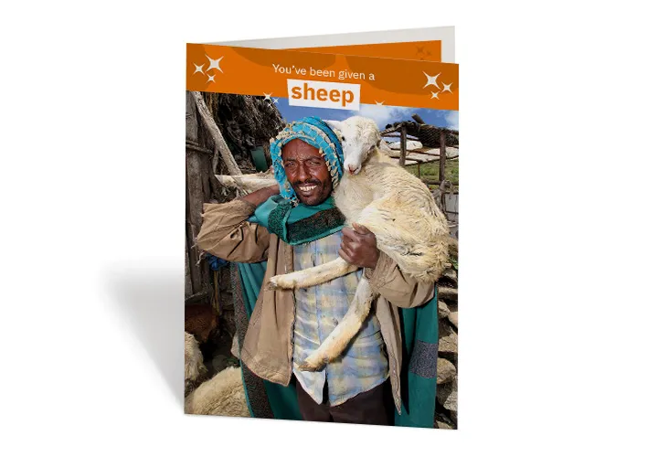 A sheep can make a real difference to a vulnerable family, like Yimam Eshete’s family in Ethiopia. Photo: Nick Spollin / Concern Worldwide A sheep can make a real difference to a vulnerable family, like Yimam Eshete’s family in Ethiopia. Photo: Nick Spollin / Concern Worldwide