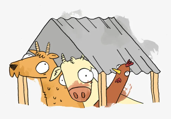 Roof - Concern Gifts Roof - Concern Gifts