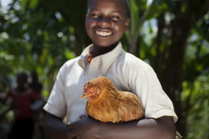 Olivier Iranyumviye (10) son of Alphonsine Niyonzima (21) with the chickens they have bought with the profits of her business, thanks to investment from the Graduation Programme. At their home in Mabayi, Cibitoke. Photo: Abbie Trayler-Smith / Concern Worldwide