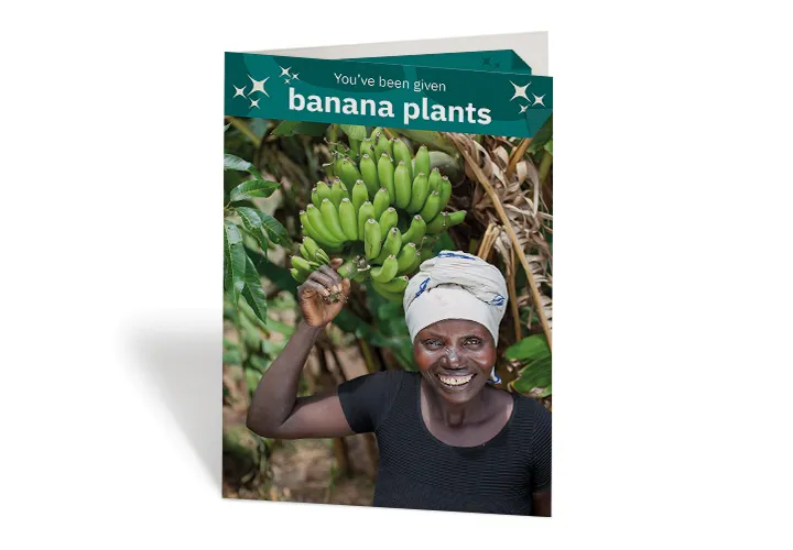 Meresiyana with her banana plants at her home in Burundi. Photo: Abbie Trayler-Smith / Concern Worldwide