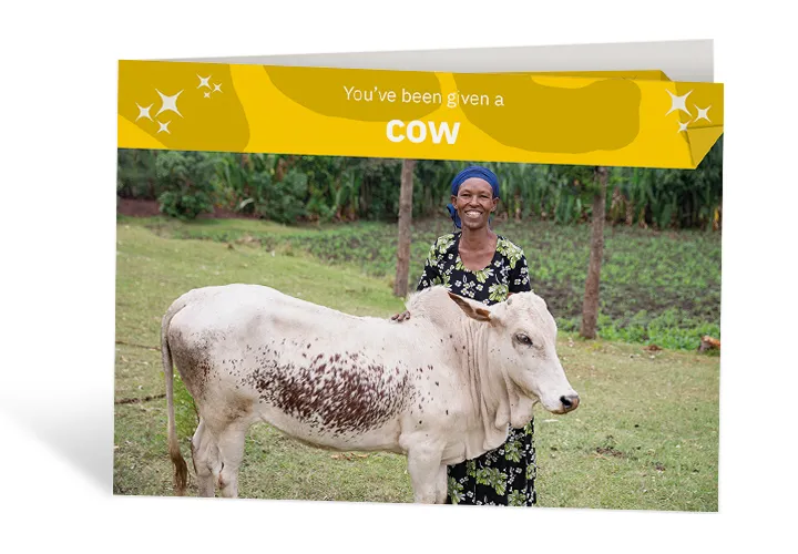 Mestawat with her life-changing cow in Ethiopia. Photo: Kieran McConville /Concern Worldwide Mestawat with her life-changing cow in Ethiopia. Photo: Kieran McConville /Concern Worldwide