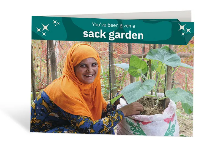 Senowara’s sack garden is a true source of joy. Photo: Concern Worldwide Senowara’s sack garden is a true source of joy. Photo: Concern Worldwide