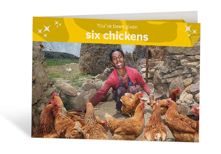Lemlem Tesega sets the pecking order for her chickens in Ethiopia. Photo: Nick Spollin / Concern Worldwide
