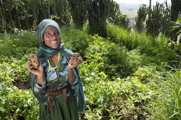 Merema can now grow potatoes in Ethiopia, thanks to Concern. Photo: Kieran McConville / Concern Worldwide