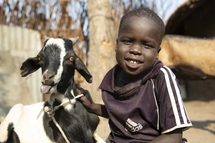 Chiny, four, and Simone, the family goat, in Gambella, Ethiopia. Photo: Kieran McConville/Concern Worldwide