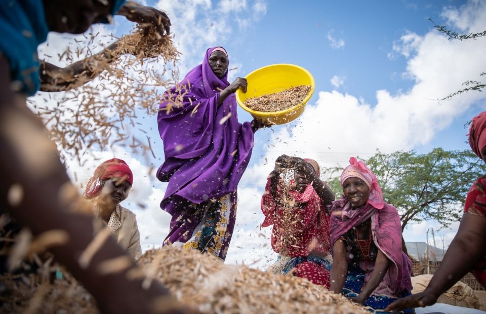 Hadija Hassan (purple) and other farmers winnow mung beans in Makere village in Tana River County. Photo: Lisa Murray/Concern Worldwide