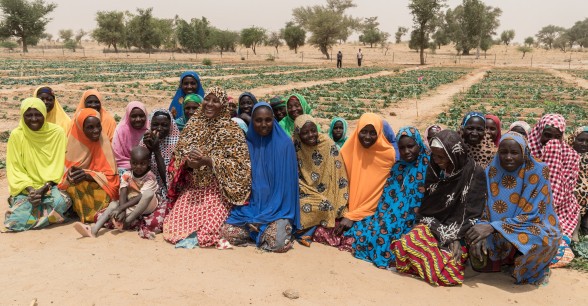 Women from Zardana Satourou village and the vegetable gardens they have grown with the support of Concern. Photo: Apsatou Bagaya / Concern Worldwide.