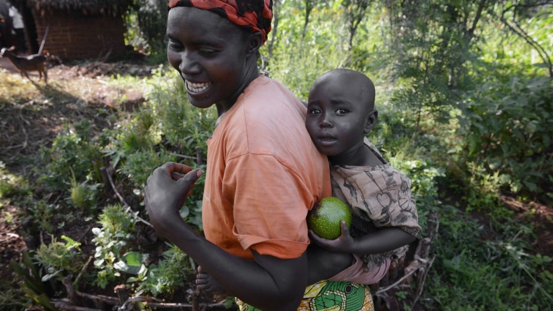 Esperence and her two-year-old daughter Delphine collect ripened avocados from their garden plot in Kirundo, Burundi. Photo: Chris de Bode