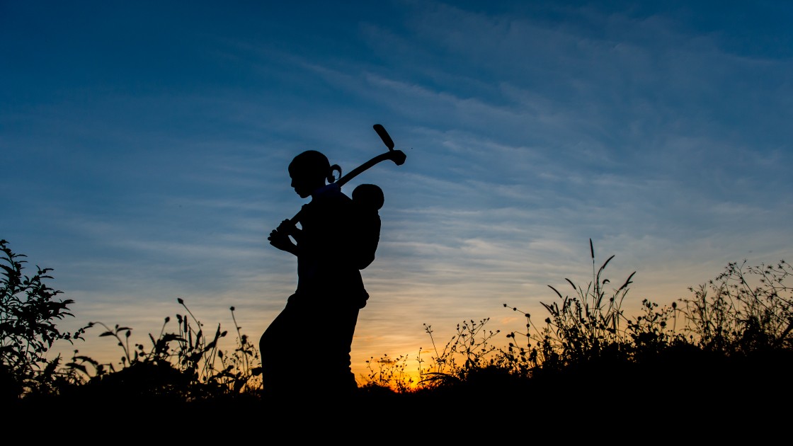 Mary Banda in her field in May 2014. Photo: Gareth Bentley / Concern Worldwide.