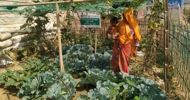 A woman stands in a vegetable garden holding her child