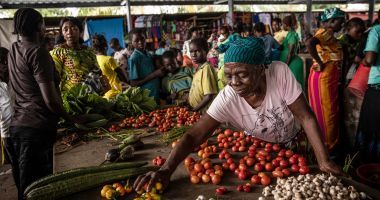 A woman displays her vegetables for sale at a central market in DRC