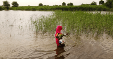 A woman carries a handful of belongings as she wades across flooded land