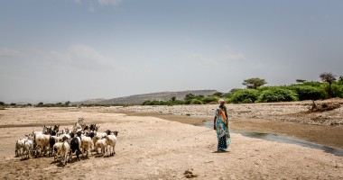 In the arid landscape of Somaliland's Baki District, a young woman cares for her goats, facing the harsh reality of drought. Petrus/Welthungerhilfe
