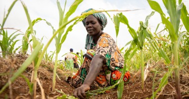 Mwanaesha Haluwa Haji tends to a plot of maize in Makere village in Kenya’s Tana River County. Photo: Lisa Murray/Kerry Group/Concern Worldwide