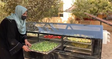Solar dryer for food preservation in Afghanistan. Photo: Concern Worldwide. 