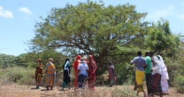 Handaraku Women’s Group walk towards their beehives, Tana River. Photo: Charlotte Woellwarth,Concern Worldwide.
