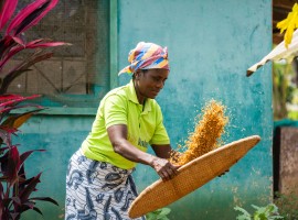 A woman tossing grains into the air