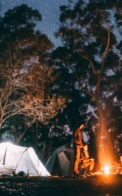A group of people sit around a glowing campfire in a forest at night, with two tents set up nearby. The sky above is filled with stars, and the trees create a dark, serene canopy over the campsite.
