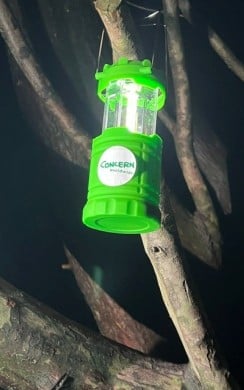 A bright green camping lantern with a Concern Worldwide logo hangs from a tree branch at night, illuminating the surrounding branches with a warm white light. 
